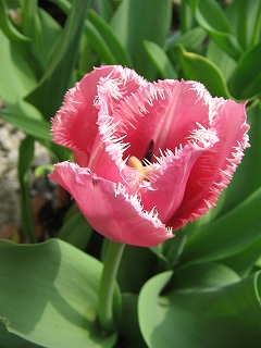 IMG_5678.jpg