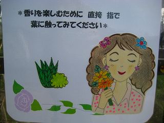 ハーブ園