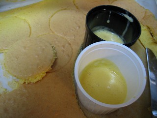IMG_2447.jpg