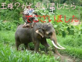 きんいちさま
