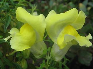 2005-10-10 15:10:48