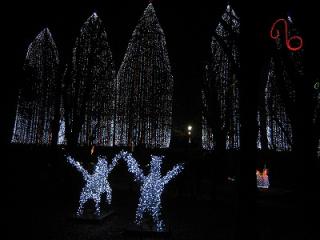IMG_3281.jpg