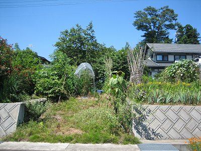 家が・・・あぁ。。。