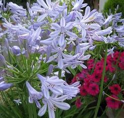 IMG_1627.jpg