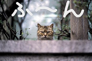ふーん.jpg