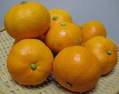 だったのに気がついたら残りこんだけに・・・美味しさについつい喰いすぎ、いえ食べすぎで・・・(/ー￣;)ｼｸｼｸ