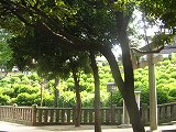 2005-09-04 16:31:53
