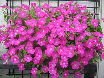 2005-07-30 15:55:41