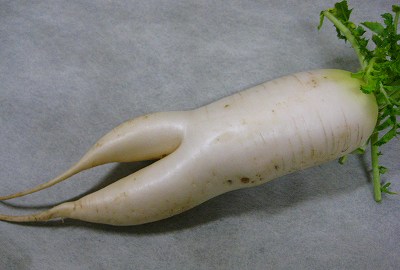だいこん足