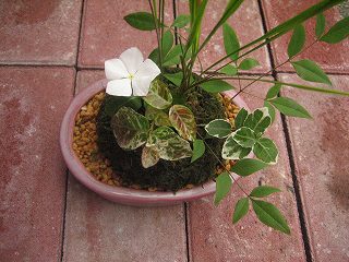 IMG_1665.jpg