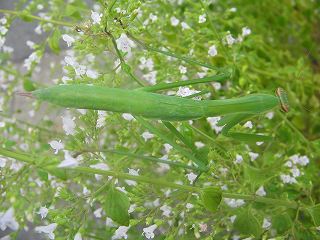 2005-08-01 16:12:05