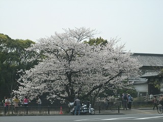 皇居