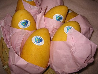 IMG_0016.jpg