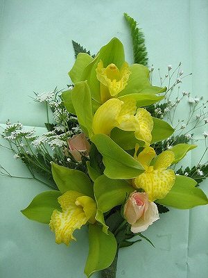 IMG_0230.jpg