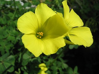 IMG_5627.jpg