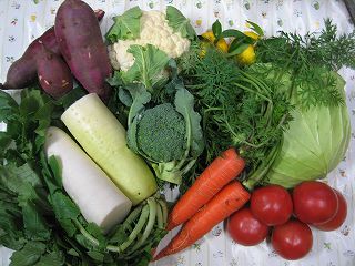 お野菜