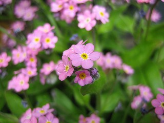 IMG_0197.jpg
