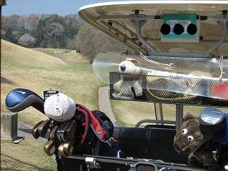 ティーインググランド