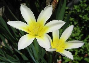 IMG_1899.jpg