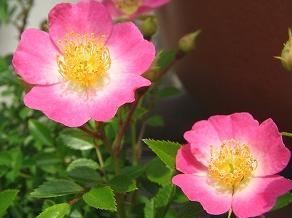 2005-08-17 17:56:51