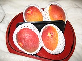 IMG_0099.jpg