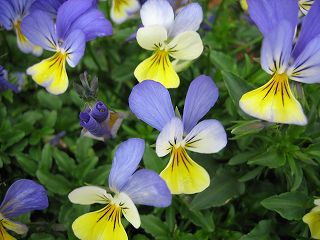 IMG_0174.jpg