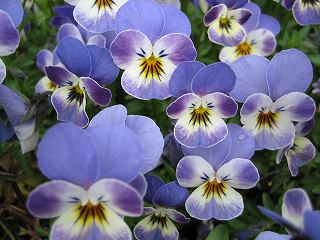 IMG_0175.jpg