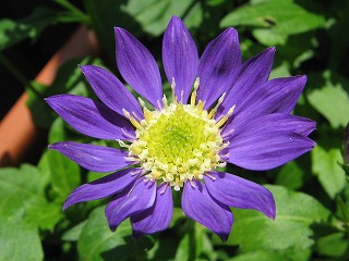 IMG_1905.jpg