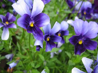IMG_0180.jpg