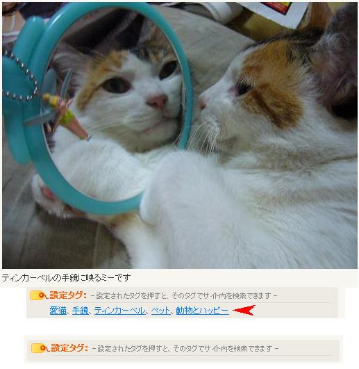 フリーエムエルではタグの説明がある20070121