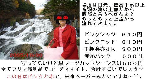 竜頭の滝上流赤ピンク20051030