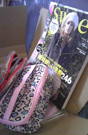 付録冊子を前に置いてしまったずっと前のポーチも