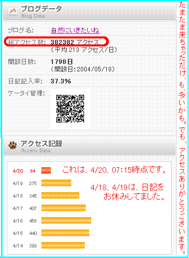 382382カウンタ記念キャプチャ20090420
