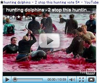 hunting dolphins - 2 stop this hunting vote 5 - YouTube