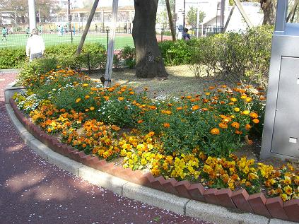 品川区立中小企業センター横の花壇2009/02/14-2