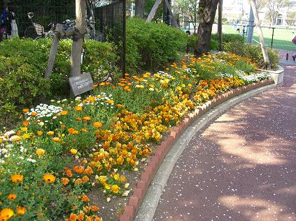 品川区立中小企業センター横の花壇2009/02/14-1