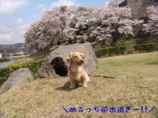その１.jpg