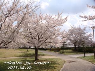 公園.jpg