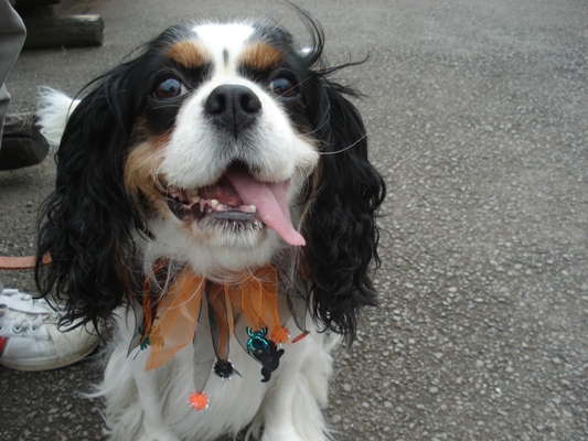 お腹すいたあ～