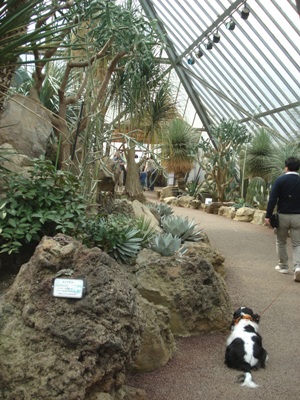 歩きたくないよ