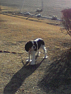 元気に走る・・