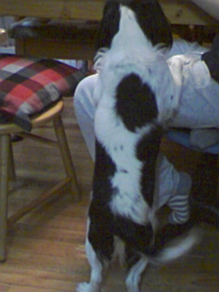 くださいな～～