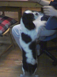 くださいってば！！！