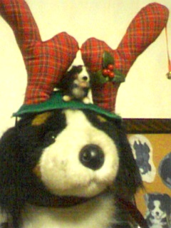 メリクリばにたん