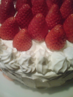 メリクリケーキ