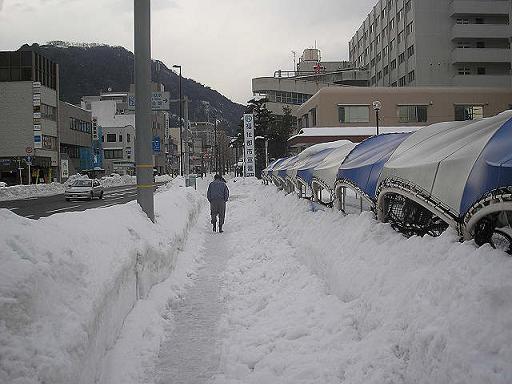 鳥取市内（鳥取市役所前）