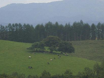 夕張ｏｒ美田地区？にて01