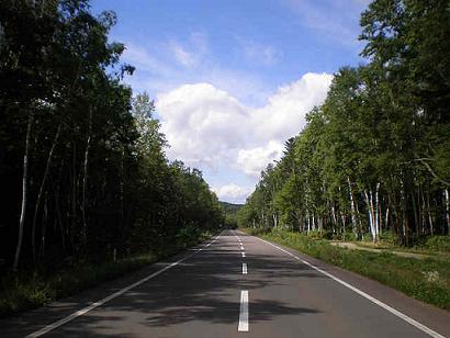 白樺街道