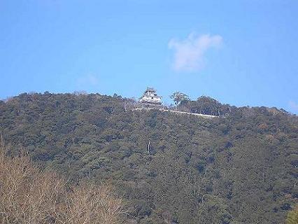 錦川から見た岩国城