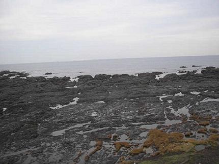 古座付近の車窓